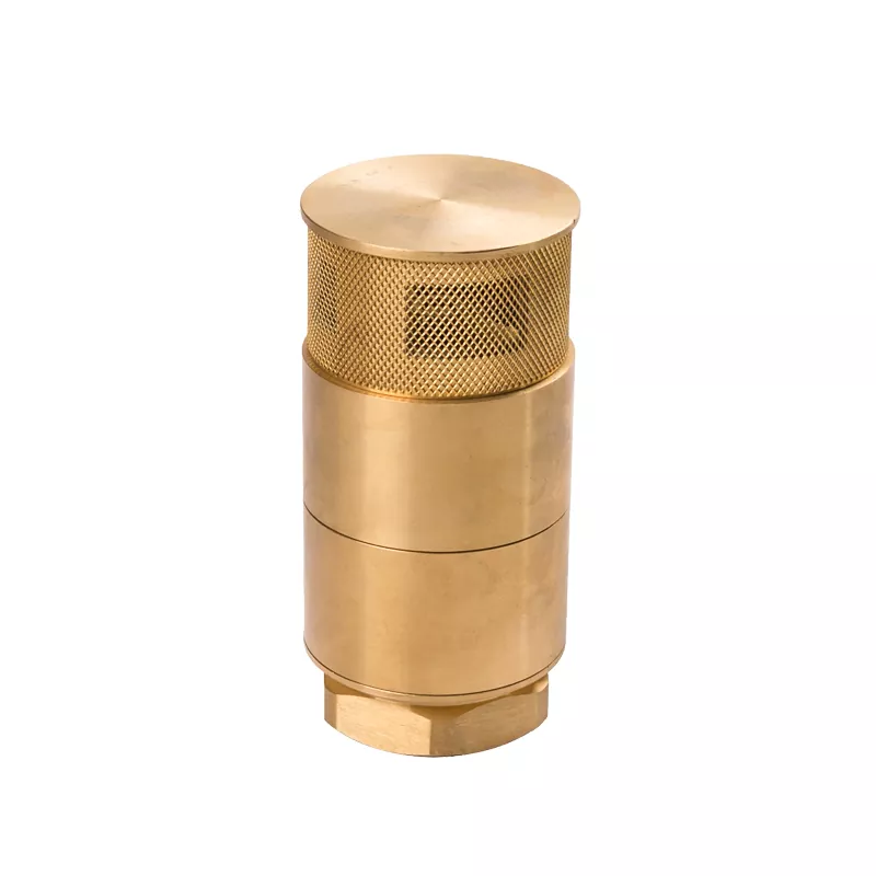 Copper Bottom Valve