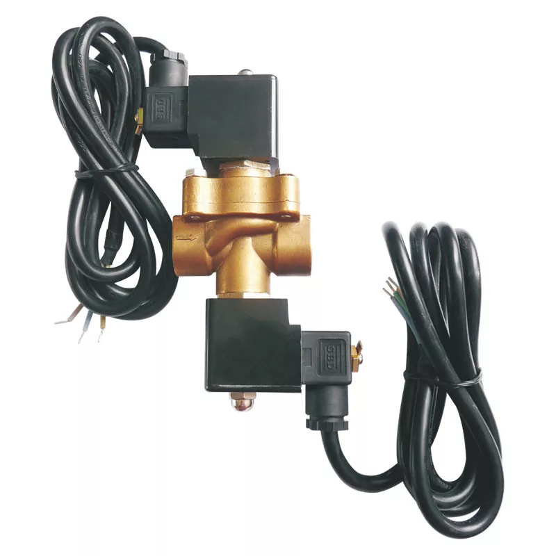 Dual Solenoid Valve for LPG Dispenser