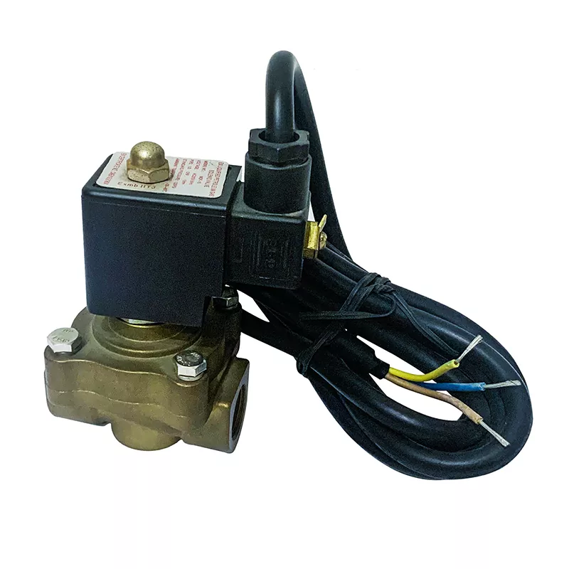 Single Flow LPG Dispenser Solenoid Valve